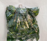 اشجار صناعية مداد متسلقه ارتفاع 2 متر العرض 5 سم