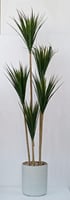 اشجار صناعية صبار ارتفاع 210 سم العرض 60 سم