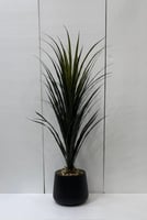 حوض بلاستيك العنكبوت ارتفاع 120 سم العرض 70 سم