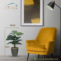 رصاصي