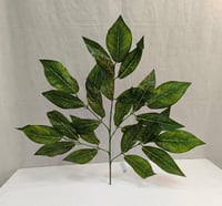 ورق صناعية فايتكس ارتفاع 65 سم العرض 35 سم