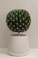 حوض بلاستيك كورة صنوبر الارتفاع 55 سم العرض 30 سم