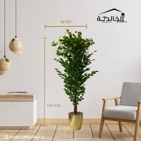 اشجار صناعية زينة ورق ليمون ارتفاع 190سم