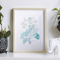 الواح أكريليك شفاف وأبيض