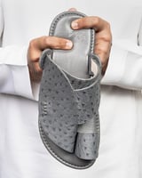 نقشة النعام 1