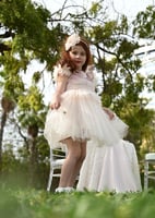 فستان بقصه مميزة من التل مع اضافة الورد بتطريز الف...