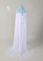 ناموسية شبكية تيفاني