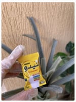 حليب نيدو كيس