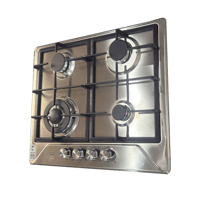 سطح امبيكس 60 سم غاز استيل