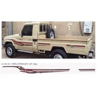 خط شطرطون شاص سعودي 60 عام 2011