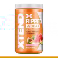 اكستند BCAA ريبيد ليمون بطيخ 30 حصة