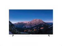 شاشة دورا 75 ويبس