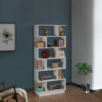 خزانة كتب عصرية - ليون