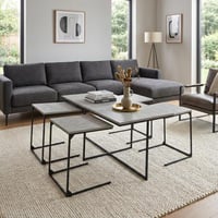 طقم طاولات قهوة بينيديتّا 5 قطع رمادي داكن خشب مال...