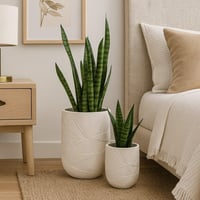 أصيص كريمي سيراميك بنقشة فنية ناعمة يضيفون لمسة دي...