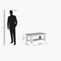 طاولة قهوة أنجيليك خشب لون خشبي و ابيض مقاس 120x60...