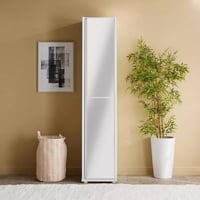 خزانة ملابس لامعة بباب مع مرآة من نافلورا