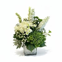 فازة ورد طبيعي فاخر باللون الأبيض والأخضر – تنسيق...