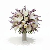 مسكة عروس كالا أبيض