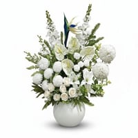 فازة ورد دلفينيوم فاخر