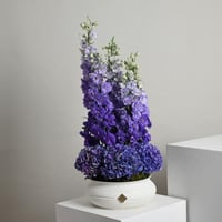 فازة ورد هيدرنجا وتوليب