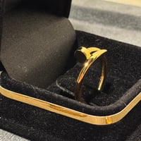 خاتم من مجموعة "جوست آن كلو"،