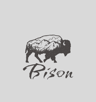 BISON