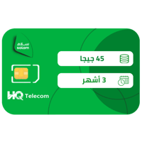 سلام شريحة بيانات 45 جيجا مسبقة الدفع | 3 أشهر