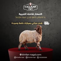 نعيمي جبر