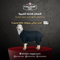 نجدي وسط بلدي