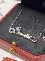 سلسال carter النمر - فضي