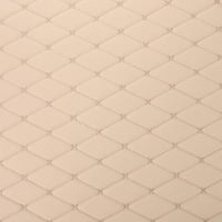 تنجيدات جلد