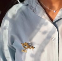 بروش هدية تخرج