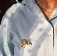 بروش تخرج أنيق يليق بك