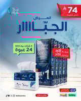 كرتون مناديل بيلا 600