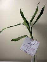 توزيعات يوم المعلم ساق البامبو+كرت اهداء 1