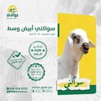 سواكني أبيض وسط