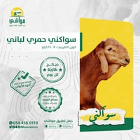 سواكني لباني