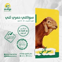 سواكني حمري ثني