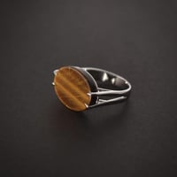 خاتم ملكي بني فاتح