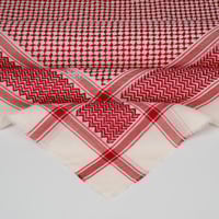 شال بصرواي - الفارس