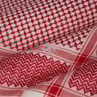 شال بصرواي - الفارس