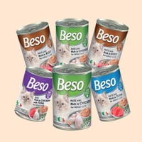 كرتون بيسو 400 جرام × 24 حبة متعدد النكهات