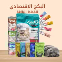 البوكس الاقتصادي للقطط البالغة