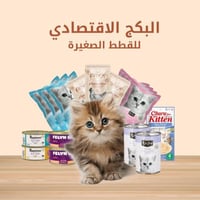 البوكس الاقتصادي للقطط الصغيرة