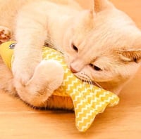 لعبة سمكة ملونة