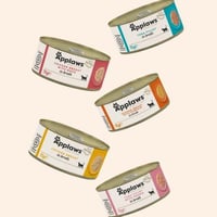 كرتون ابلاوز معلبات طعام رطب 70 جرام × 24 حبة