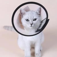 طوق الحماية الطبي