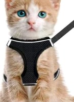 سترة مشي مع حبل