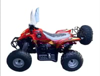 دباب سويدي تايواني حجم كبير تمقاس 100